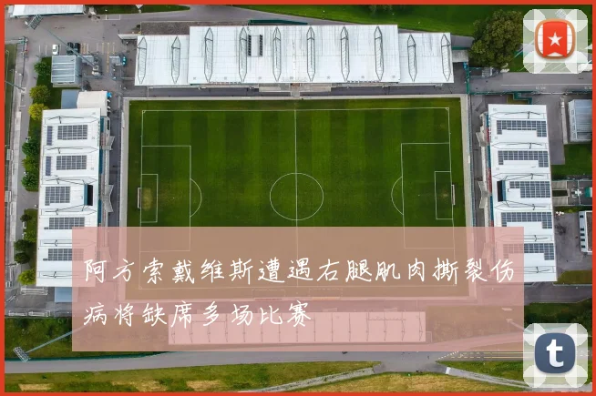 阿方索戴维斯遭遇右腿肌肉撕裂伤病将缺席多场比赛