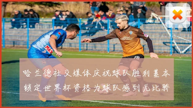 哈兰德社交媒体庆祝球队胜利基本锁定世界杯资格为球队感到无比骄傲