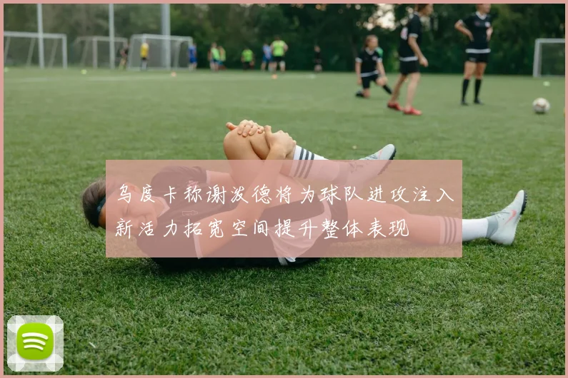 乌度卡称谢泼德将为球队进攻注入新活力拓宽空间提升整体表现